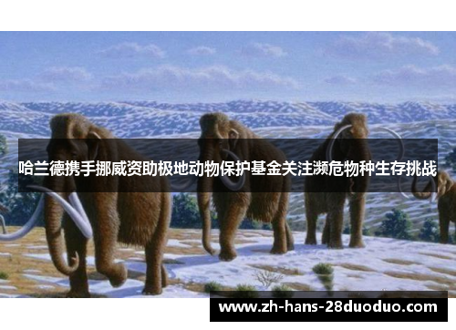 哈兰德携手挪威资助极地动物保护基金关注濒危物种生存挑战 哈兰德携手挪威资助极地动物保护基金关注濒危物种生存挑战