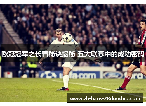 欧冠冠军之长青秘诀揭秘 五大联赛中的成功密码 欧冠冠军之长青秘诀揭秘 五大联赛中的成功密码