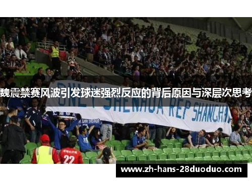魏震禁赛风波引发球迷强烈反应的背后原因与深层次思考