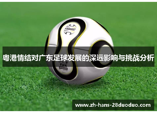 粤港情结对广东足球发展的深远影响与挑战分析