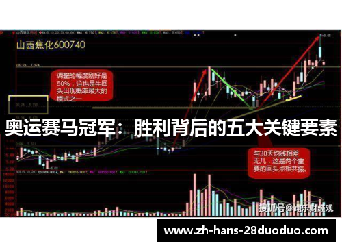 奥运赛马冠军：胜利背后的五大关键要素