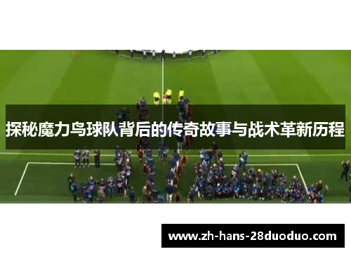 探秘魔力鸟球队背后的传奇故事与战术革新历程