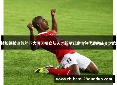 林加德被调侃的四大原因揭晓从天才新星到表情包代表的转变之路