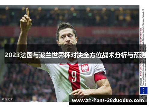 2023法国与波兰世界杯对决全方位战术分析与预测