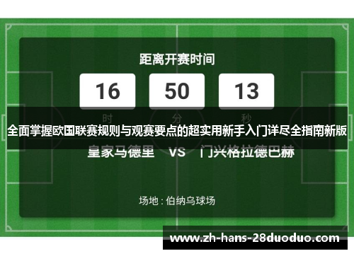 全面掌握欧国联赛规则与观赛要点的超实用新手入门详尽全指南新版
