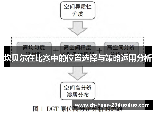 坎贝尔在比赛中的位置选择与策略运用分析