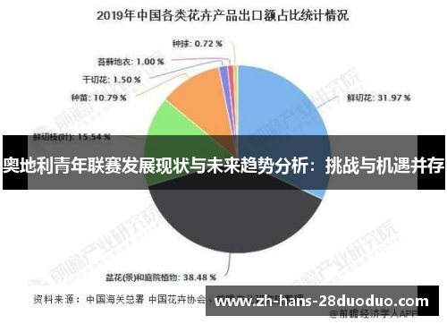奥地利青年联赛发展现状与未来趋势分析：挑战与机遇并存