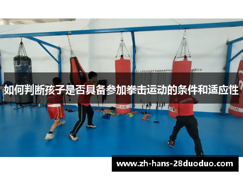 如何判断孩子是否具备参加拳击运动的条件和适应性