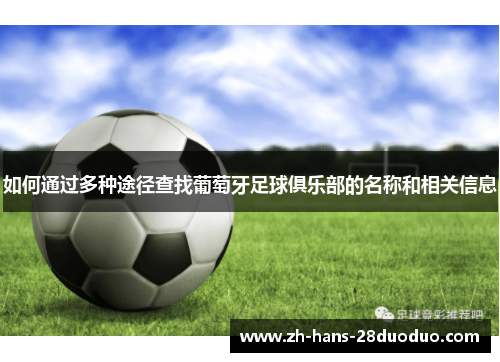 如何通过多种途径查找葡萄牙足球俱乐部的名称和相关信息