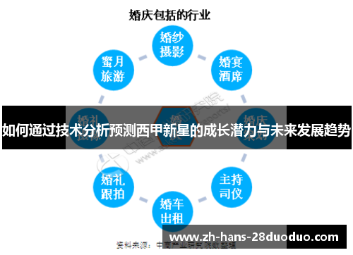 如何通过技术分析预测西甲新星的成长潜力与未来发展趋势